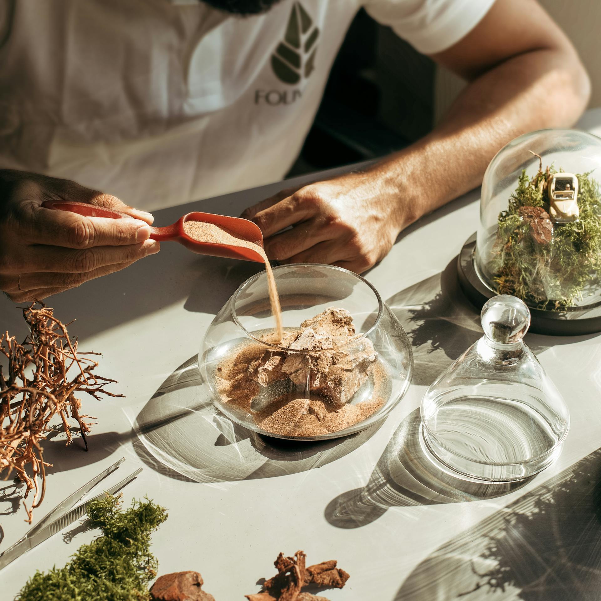 pexels-eba-marie-83497895-8850948